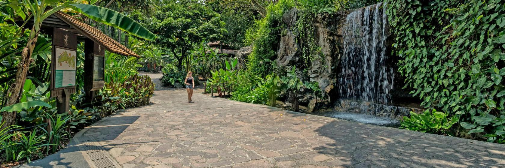 Jardin botanique de Singapour